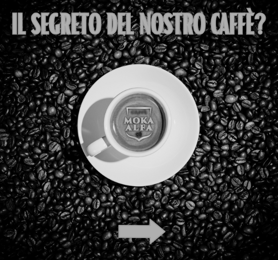 sFONDO SITO WEB MOKA ALFA SANREMO (570 x 533 px) (1)