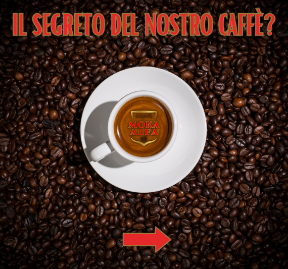 sFONDO SITO WEB MOKA ALFA SANREMO (570 x 533 px)